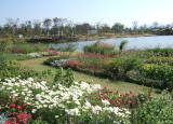 Ԃǂ񂽂